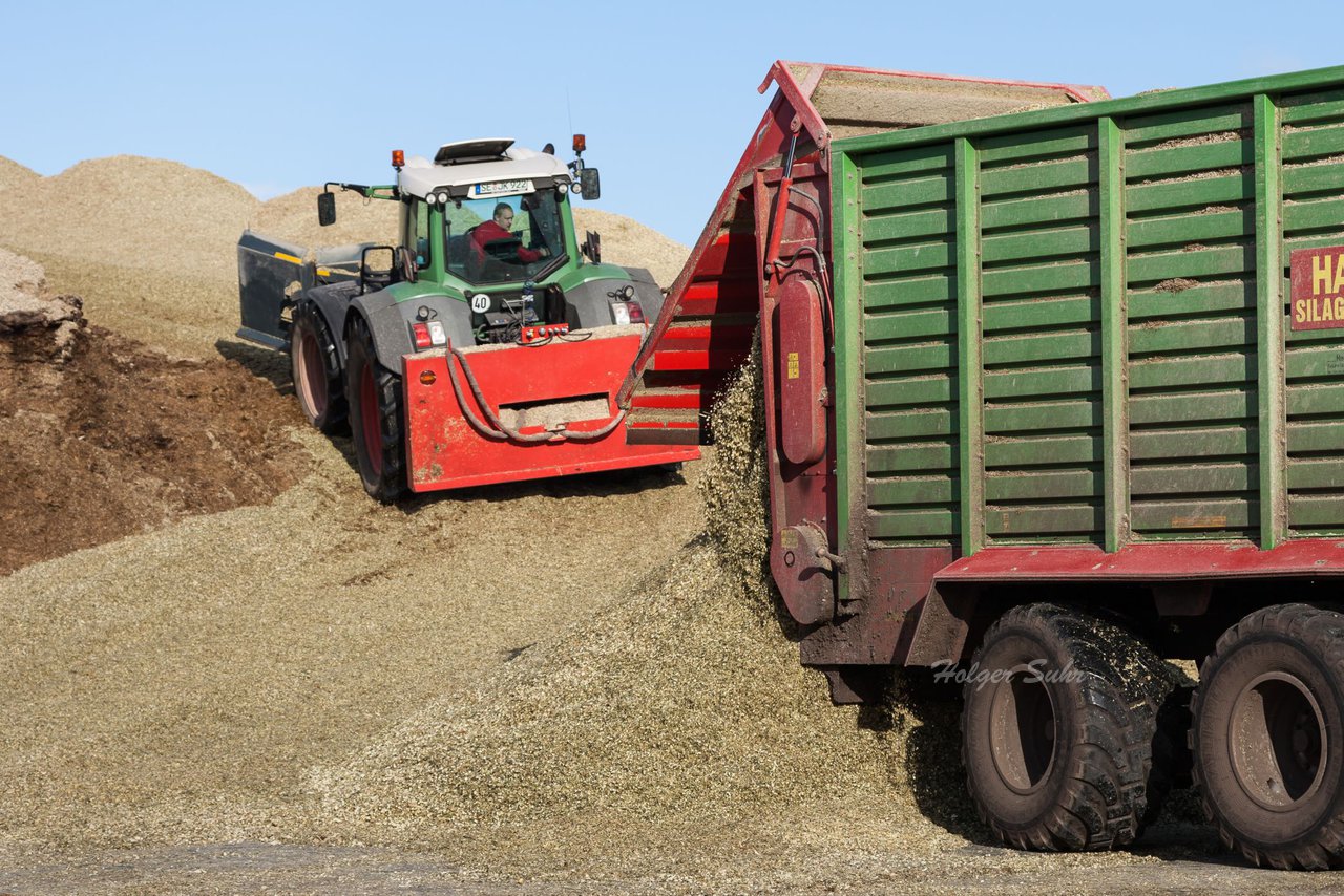 Bild 22 - Maisernte Kruppa in Fehrenbtel